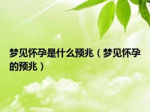 解密梦境：怀孕无父之谜，心理深层解析