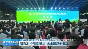 11月11日：光棍节遇水兔日，运势上升的智慧财富日