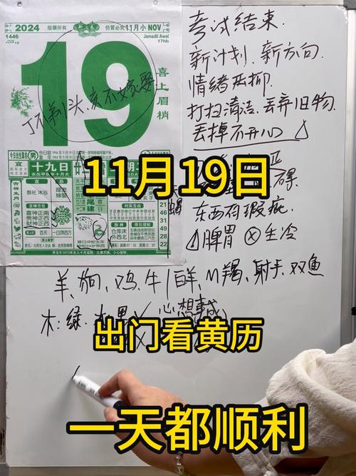 金龙之命：揭秘2000年11月19日出生者的命运密码