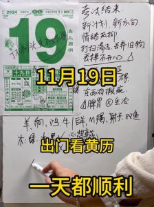 金龙之命：揭秘2000年11月19日出生者的命运密码