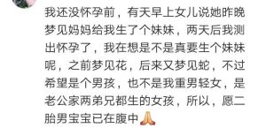 梦见怀孕不想要解析：揭秘内心情感与幸运启示