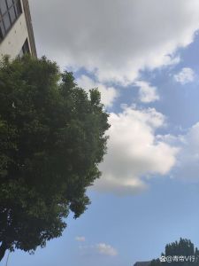 色彩解码：揭秘性格与色彩的秘密