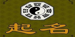 传统与创新交融：揭秘人工取名大师的艺术世界
