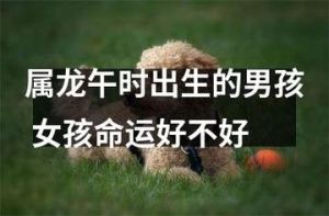 属龙巳时男孩：智慧之星的人生传奇