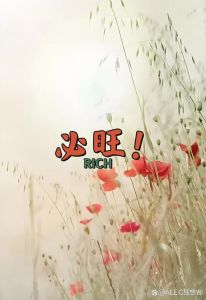 破解霉运：揭秘运势差根源，教你轻松转运！
