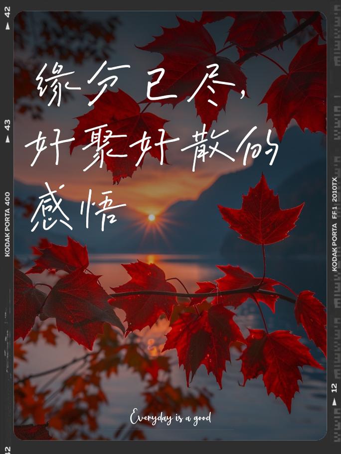 夫妻缘分解析：如何判断缘分是否已尽