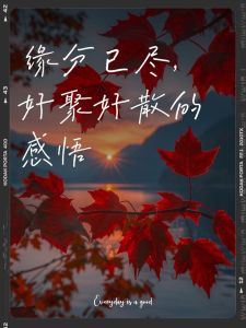 夫妻缘分解析：如何判断缘分是否已尽