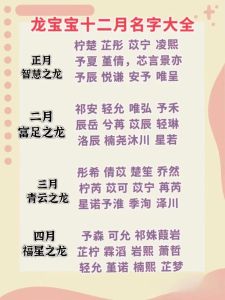 冬月龙宝宝取名指南：诗意吉祥，美好人生起点