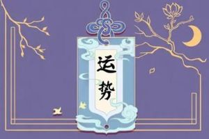 全方位转运攻略：时来运转，逆境转机！