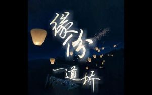 婚姻危机预警：五标准判缘分尽头，揭秘情感迷雾中的真相