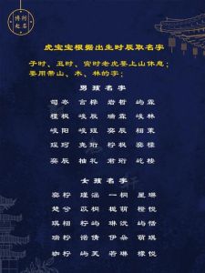 属龙巳时男孩：命运特权与人生传奇揭秘