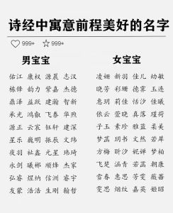冬季龙宝宝命名指南：吉祥寓意，温馨小名推荐