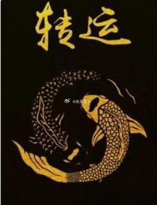 战胜霉运，拥抱好运的秘诀攻略