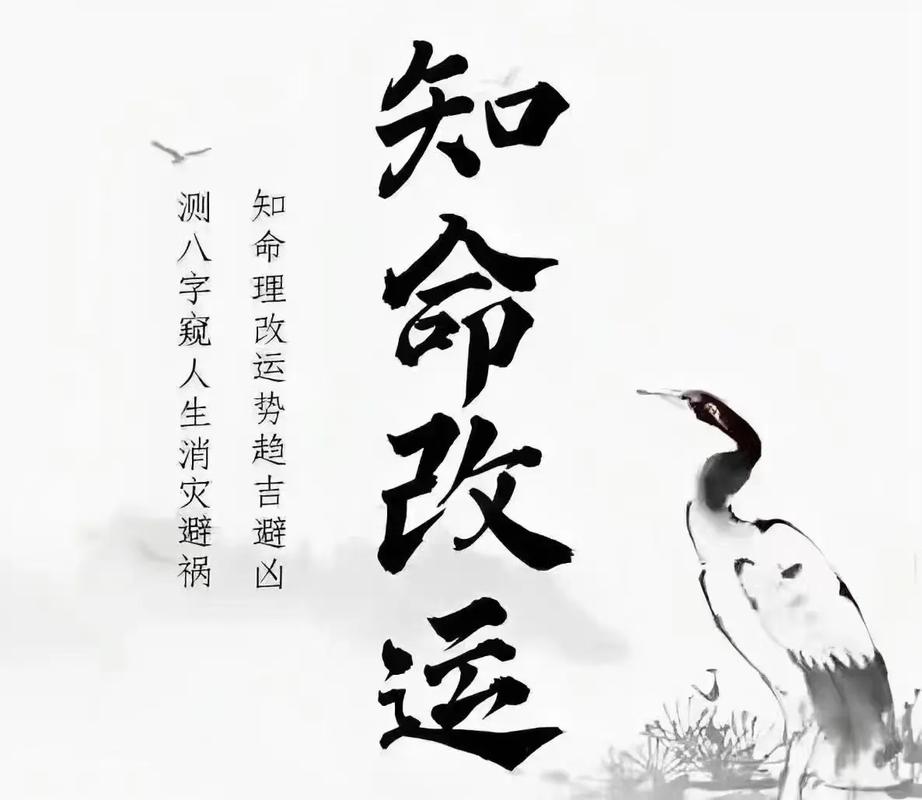 全面转运攻略：改变态度，提升运势，迎接美好未来！