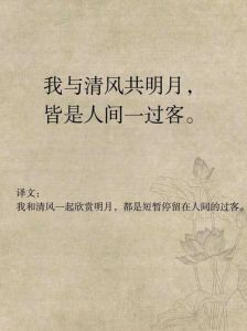夫妻缘分尽？五大征兆及应对策略揭秘