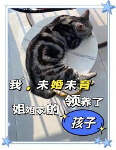 未婚未育梦境解析：揭秘生育心理密码