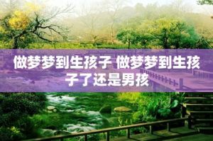 未婚女性梦见生男孩的吉兆解析及未来预示