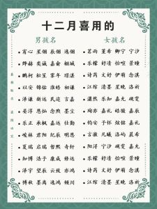 腊梅龙女宝起名指南：寓意美好，独特魅力