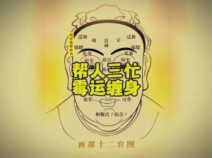 识忙避坑：如何智慧拒绝，守护幸福人生
