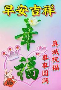 2024年11月三大黄道吉日：事业飞跃爱情和谐家庭幸福指南