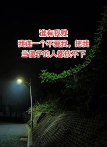 揭秘沉默老实人：价值与魅力不容忽视