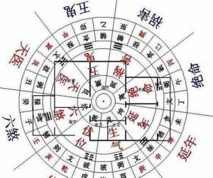 风水揭秘：改善女主人心绪，和谐家庭之道
