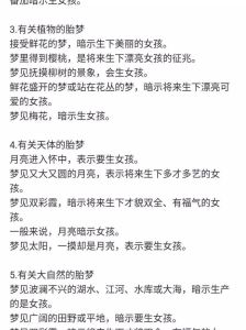 胎梦揭秘：科学视角下的性别预测真相