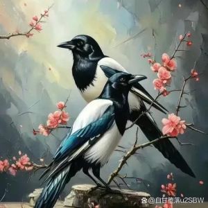 喜鹊：报喜之鸟的多重象征与文化寓意