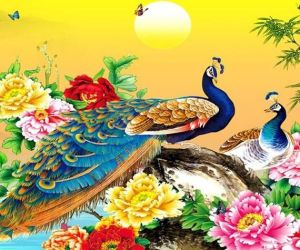 11.11：黄道吉日光棍节，多重含义独特日揭秘