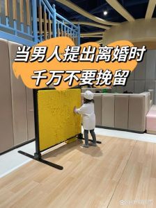 离婚背后的秘密：情感法律与幸福再寻