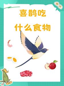 喜鹊：中国文化中的吉祥之鸟