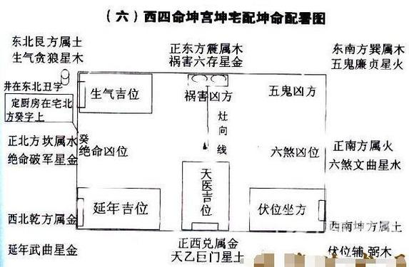 揭秘四喜鸟：鹊鸲的吉祥寓意与文化传承