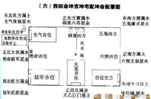 揭秘四喜鸟：鹊鸲的吉祥寓意与文化传承