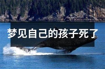 梦境分娩解析：揭秘顺利分娩梦境的吉凶与心理寓意