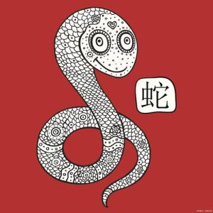 天蝎智慧排行：揭秘哪个生肖最聪明