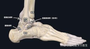 揭秘：男生看女生脚踝背后的心理密码