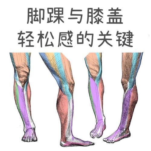 揭秘男性关注女性脚踝的心理学原因