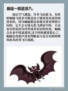 家中蝙蝠驱赶攻略：轻松恢复宁静生活！