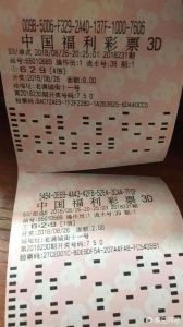 彩票真相：财富诅咒与人性考验
