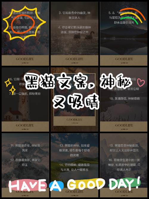 黑猫之谜：遇见黑猫的注意事项与民间传说