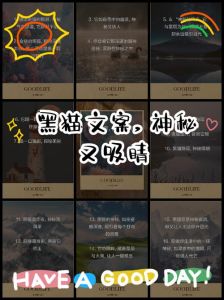黑猫之谜：遇见黑猫的注意事项与民间传说