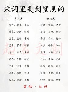 2024冬生龙宝宝取名指南：吉祥寓意好名字精选