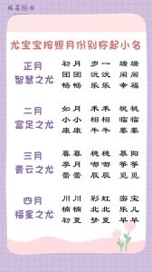 2024腊月龙宝宝取名指南：吉祥文化好名