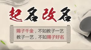 名扬天下国学起名，传承智慧，定制吉祥名