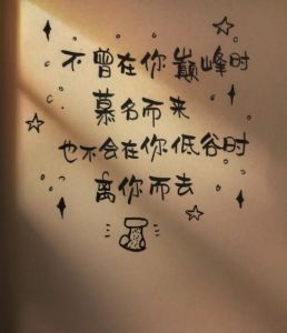 陪伴的力量：人生起伏中的真挚情感与正能量