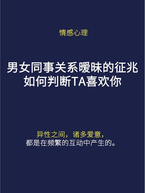 暧昧纠葛：迷雾中的寻找与结局