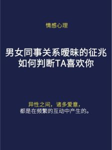 暧昧纠葛：迷雾中的寻找与结局