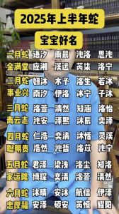 2025蛇宝宝吉祥名解析：寓意好名字大全推荐