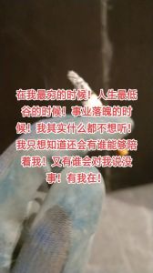 出轨男人心理：内疚焦虑与挣扎