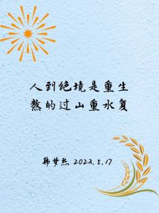 逆境攀登：低谷逆袭，成就辉煌人生